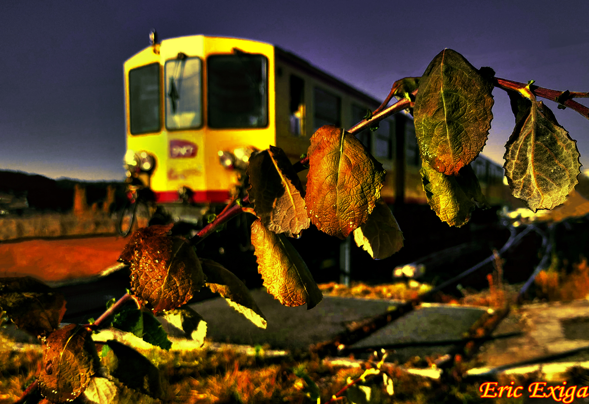 La chenille de feuille d automne et le canari en gare de saillagouse