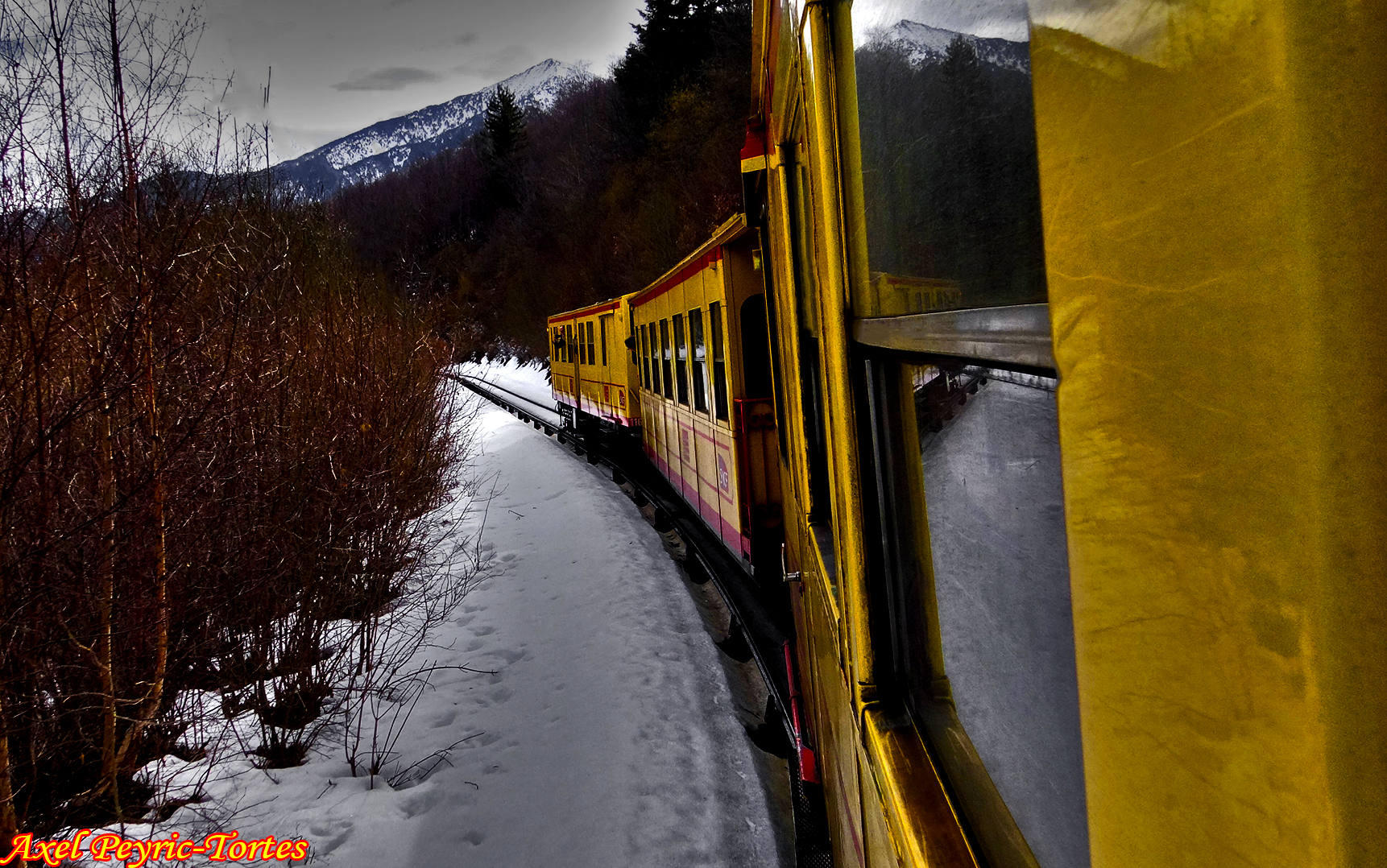 Le canari dans la courbe enneigee avec les arbres et le col mitja en arriere plan