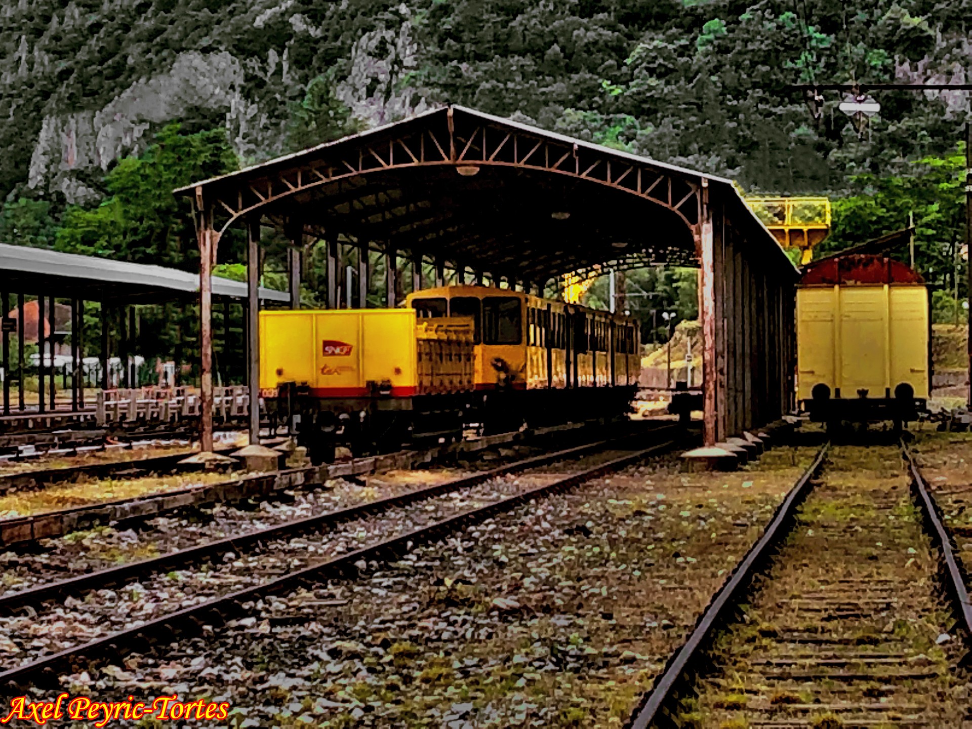 sauverletrainjaune